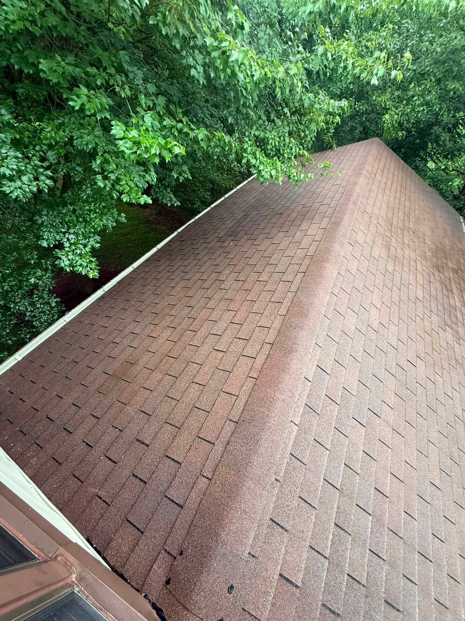 After: Before and after exterior cleaning