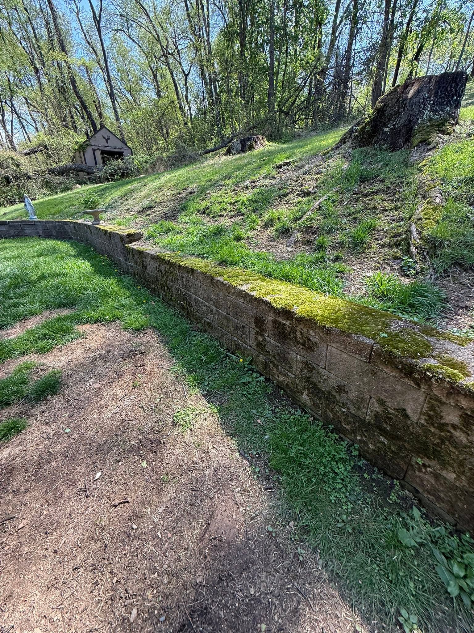 Before: ${alt}