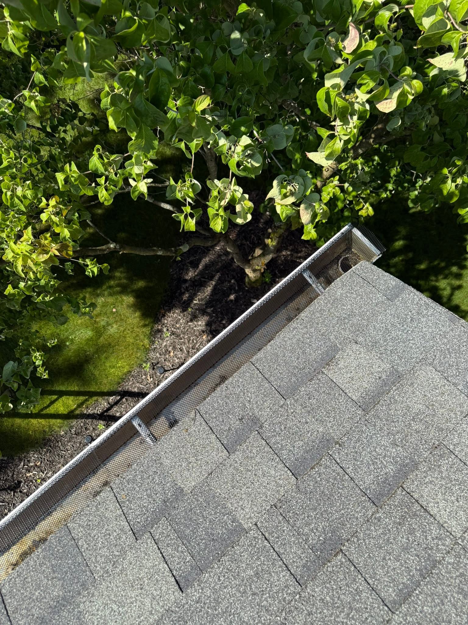 Gutter Cleaning by South Hills Soft Wash